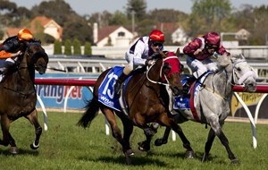 Ocean Park Wins the Underwood Stakes